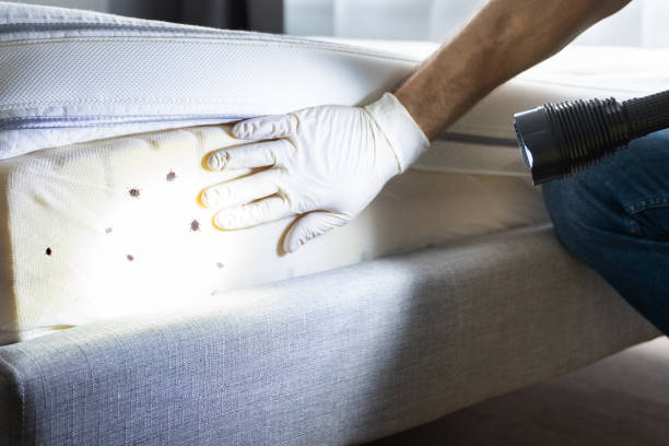 Reliable Ogallala, NE Pest Control Solutions