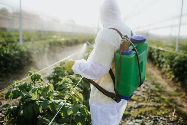 Best Affordable Pest Control Services  in Ogallala, NE